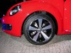 beetle01