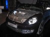 beetle16