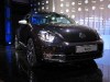 beetle17