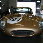 Im Bloglight: Jaguar, How alive are you?