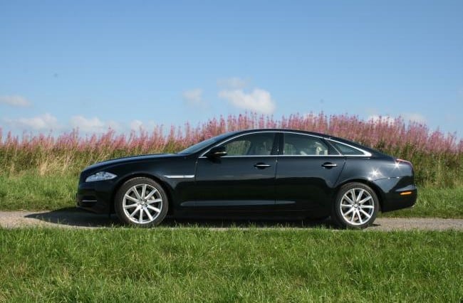 Jaguar: Samtpfote und Raubtier zugleich 3