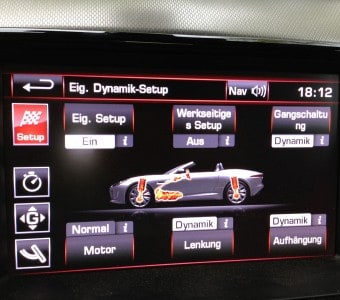 Jaguar F-Type - die Katze, die laut bellt 5