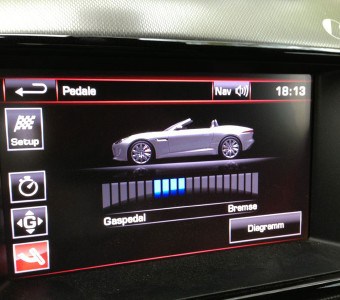 Jaguar F-Type - die Katze, die laut bellt 8
