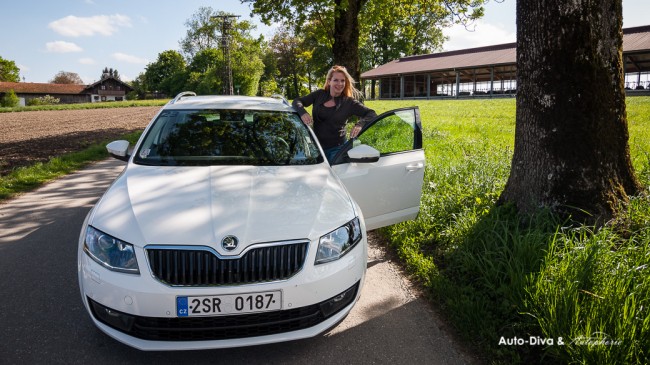 Škoda Octavia Combi III