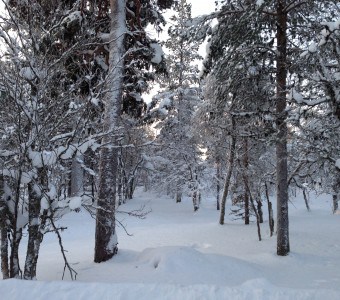 Mein Winteranfang mit Bridgestone Winterreifen