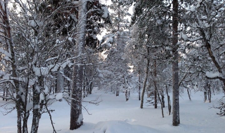 Mein Winteranfang mit Bridgestone Winterreifen 3