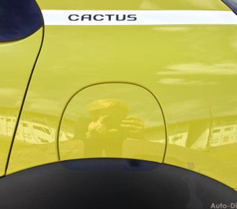Runter vom Sofa, rauf aufs Sofa: Citroën C4 Cactus 4
