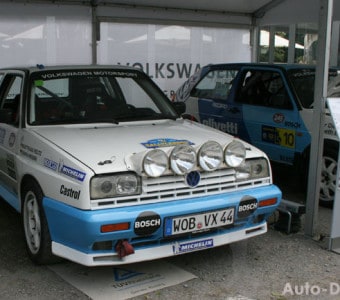 Schloss Dyck Classic Days 2014 Fotowalk 12