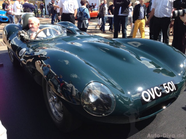 jaguar3379