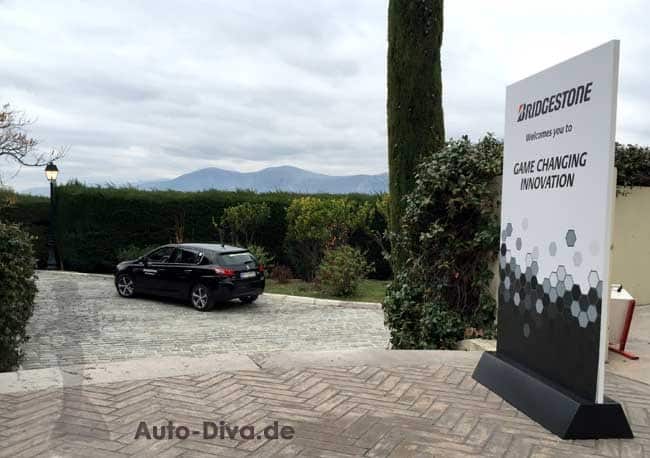 Bridgestone DriveGuard