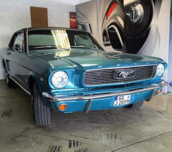 Pferde gehen ja immer ... Ford Mustang - Autofoto