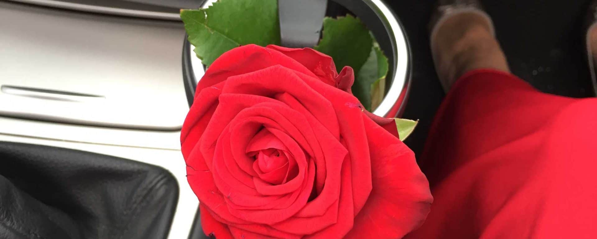 Rosenhalter aka Becherhalter im Auto