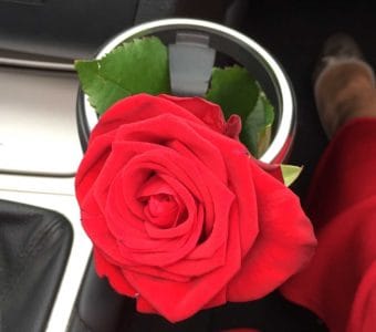 Rosenhalter aka Becherhalter im Auto